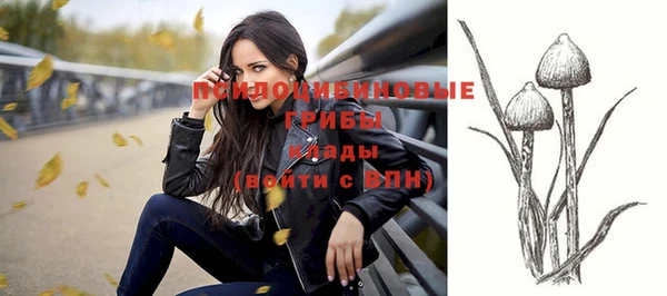 молекула духа Абинск