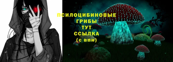 2c-b Абдулино