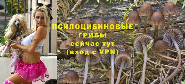 стаф Абаза