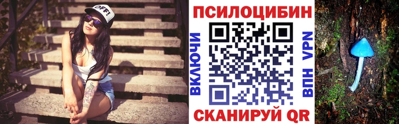 наркотики это официальный сайт Псилоцибиновые грибы мухоморы Нестеровская